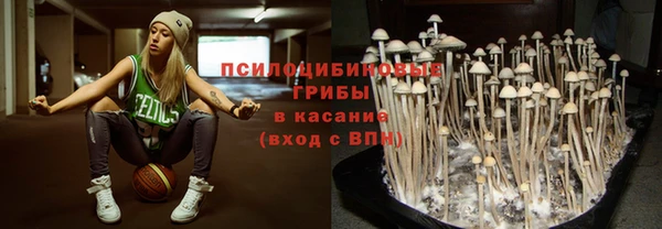 COCAINE Козельск