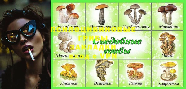 а пвп мука Кодинск